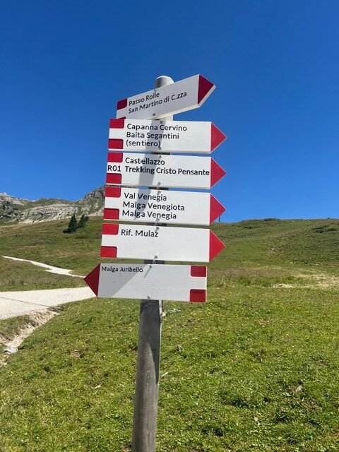 Sentiero da Passo Rolle verso la Baita Segantini