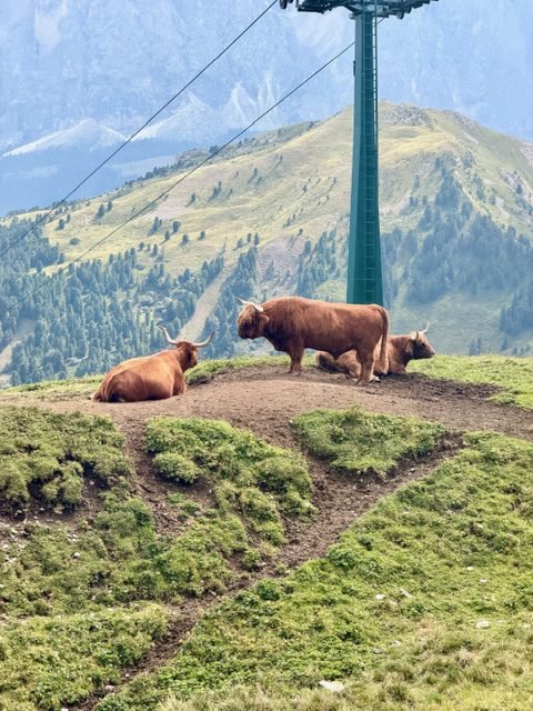 Escursione al Seceda in Val Gardena