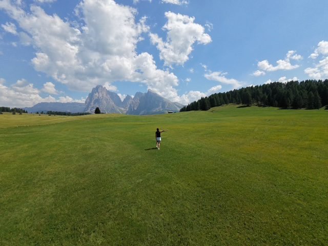 Prati dell'Alpe di Siusi con vista sul Sassolungo