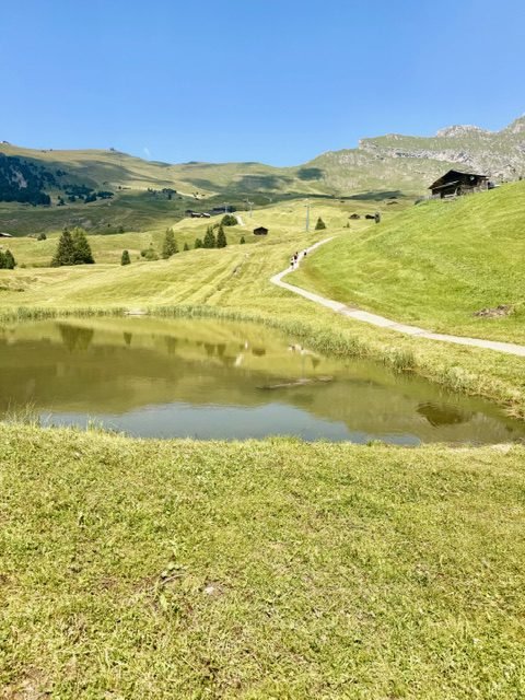 Sentiero per il Seceda da Santa Cristina