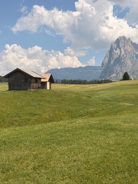 Prati dell'Alpe di Siusi con vista sul Sassolungo